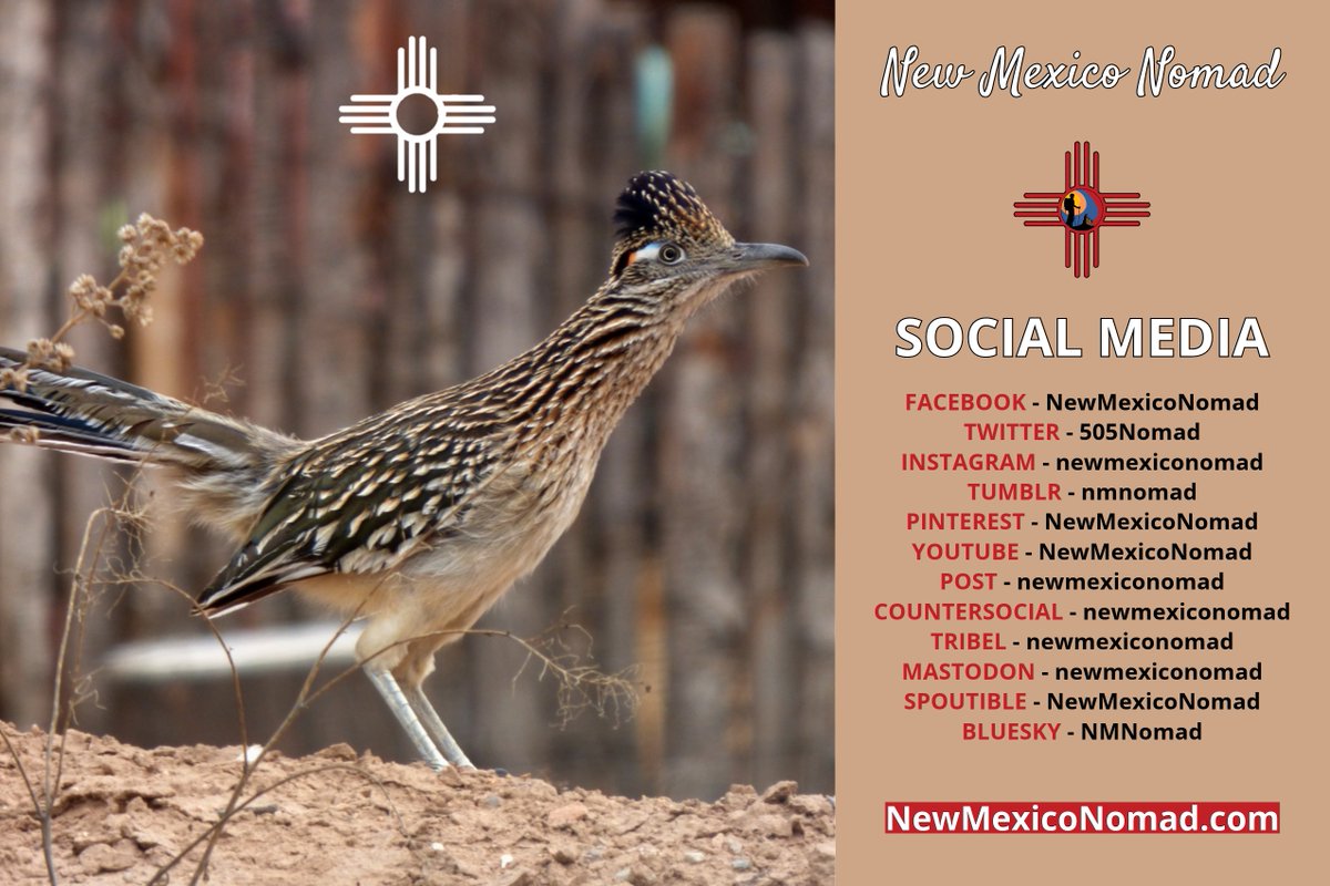 505Nomad's tweet image. NM Nomad...now on Blue Sky. I am not sure how much I will be able to post to all of the new social media platforms, but if you decide to head elsewhere online, please look for me (wherever you land). I'm planning to stay on Twitter/X until it dies.
#NewMexico #travel #blogger