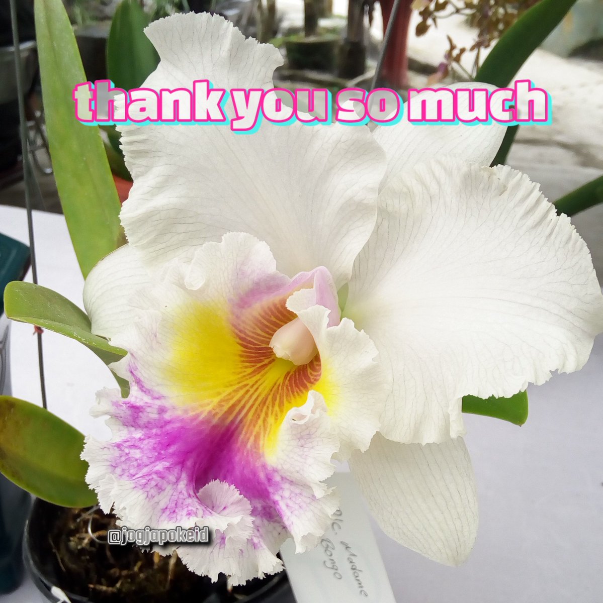 #TwFsClub
#AajziGain
#F4F_Nusantara

thank you so much
⏩➽ <a href="/sufi166/">🌷SUFI🌷#AajziGain🌷</a>

<a href="/khalidaajzi/">🌿khalidaajzi🌿#AajziGain🌿</a>
<a href="/jogjapokeid/">jogjapokeid</a>
<a href="/TwFsClub/">Founder of ☀️ #TwFsClub</a>
@nadianurrahma
<a href="/NadiasonSebit/">Nadiason°</a>
<a href="/nadjwahand37371/">Nadjwahan 🇮🇩</a>
<a href="/electwave_music/">Electwave Official</a>
<a href="/ElyGonalvesdeO3/">Ely Gonçalves de Oliveira</a>
<a href="/Nafertiti6/">Nafertiti</a>
@nagabonar7145
<a href="/Naguzani/">Camilo Almario</a>
@Nahheed7788y
<a href="/NainggolanRaja6/">Nainggolan Raja</a>
<a href="/NAliagu/">ñduka aliagu</a>
<a href="/NamAnh6789hd/">Nam Trần</a>