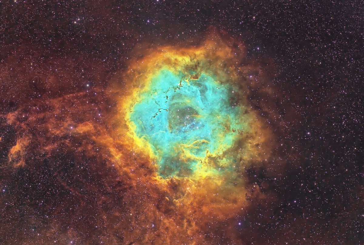 Affinity tweet media