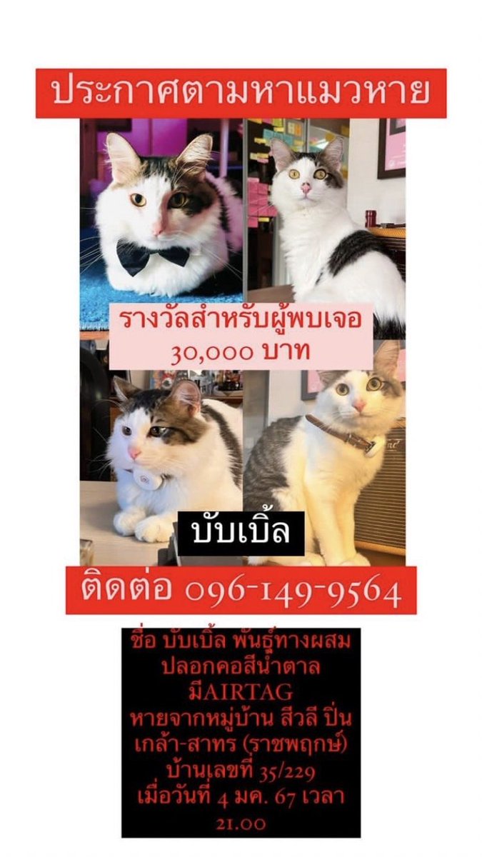 Jaykchr tweet media