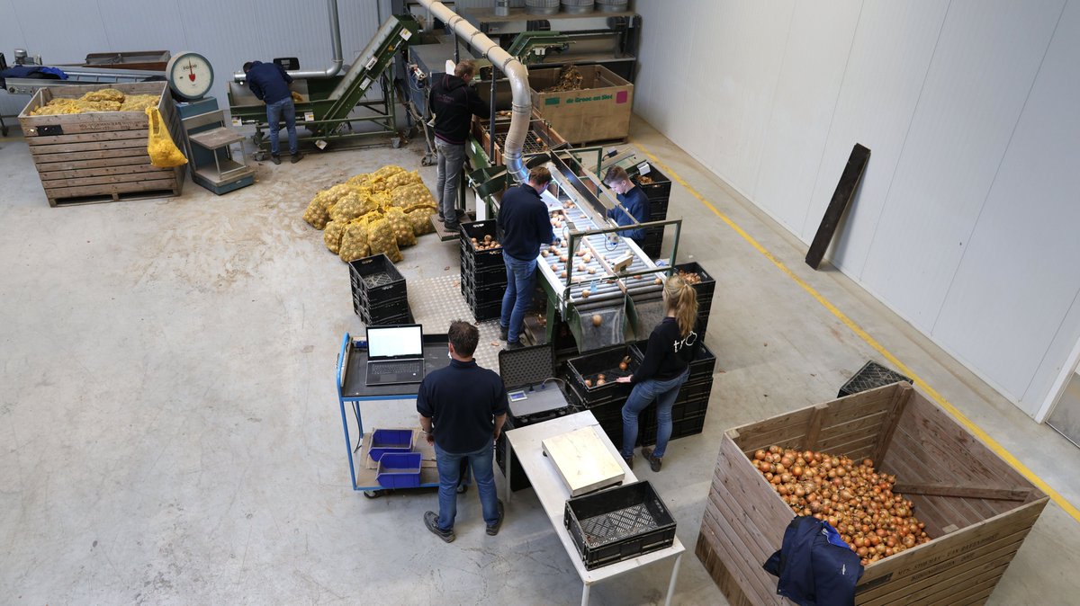 <a href="/Wesemaelbv/">R. van Wesemael b.v.</a> en De Groot en Slot beoordelen samen uienproeven. Met behulp van dit onderzoek kunnen beide bedrijven een zo goed mogelijk rassenadvies geven. Lees hier meer: degrootenslot.nl/van-wesemael-e… #uien #beoordeling #samenwerking