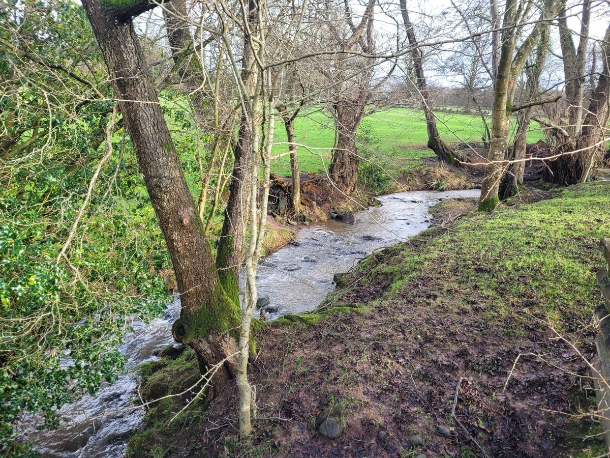 Lady Rebs tweet media