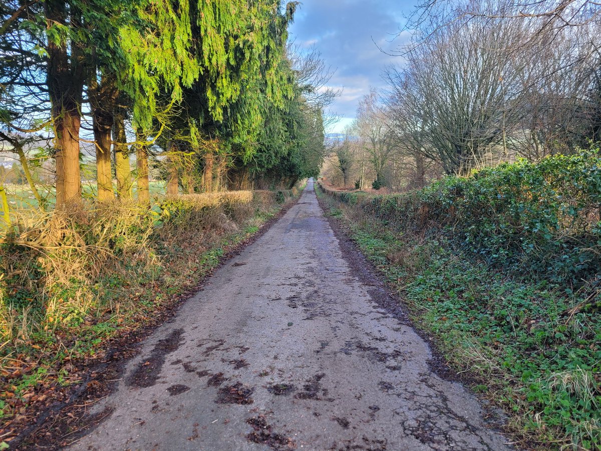 Lady Rebs tweet media