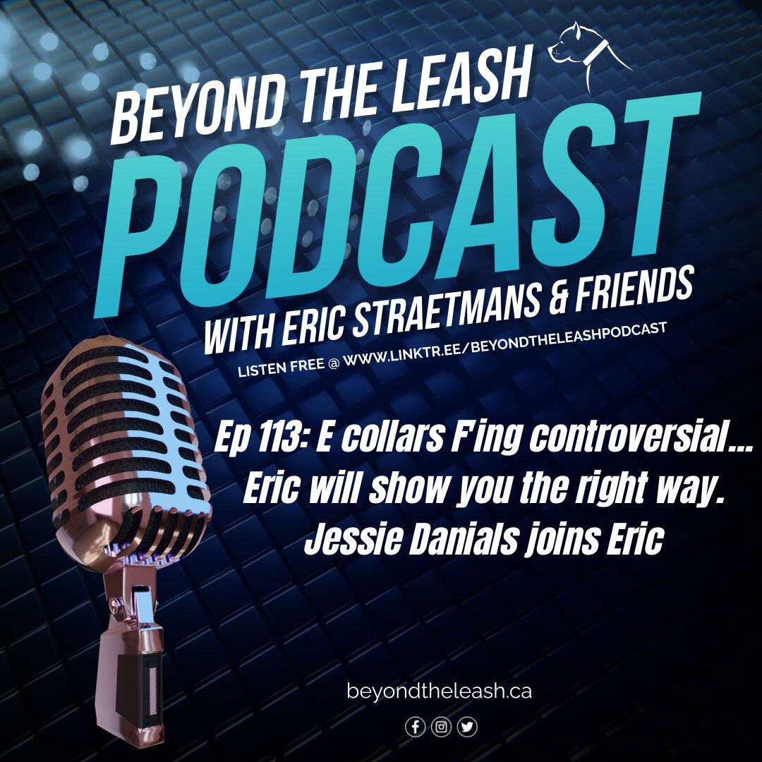 btl_training's tweet photo. 🎧Ep 113: #Ecollars F'ing controversial ...Eric will show you the right way🎙https://t.co/eScUM17t9H
#ecollar #ecollartraining
#balanceddogtraining #dogs 🐕 #k9training #dogtraining #dogtrainer #k9 #BeyondTheLeash #dogtrainingtips #dogsoftwitter
⭐️SPONSOR @BigCountryRaw https://t.co/VJ7eq4bUX3