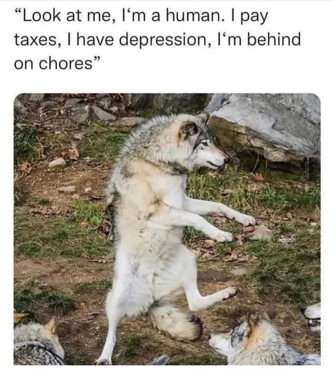 Gonsi ☀️ tweet media