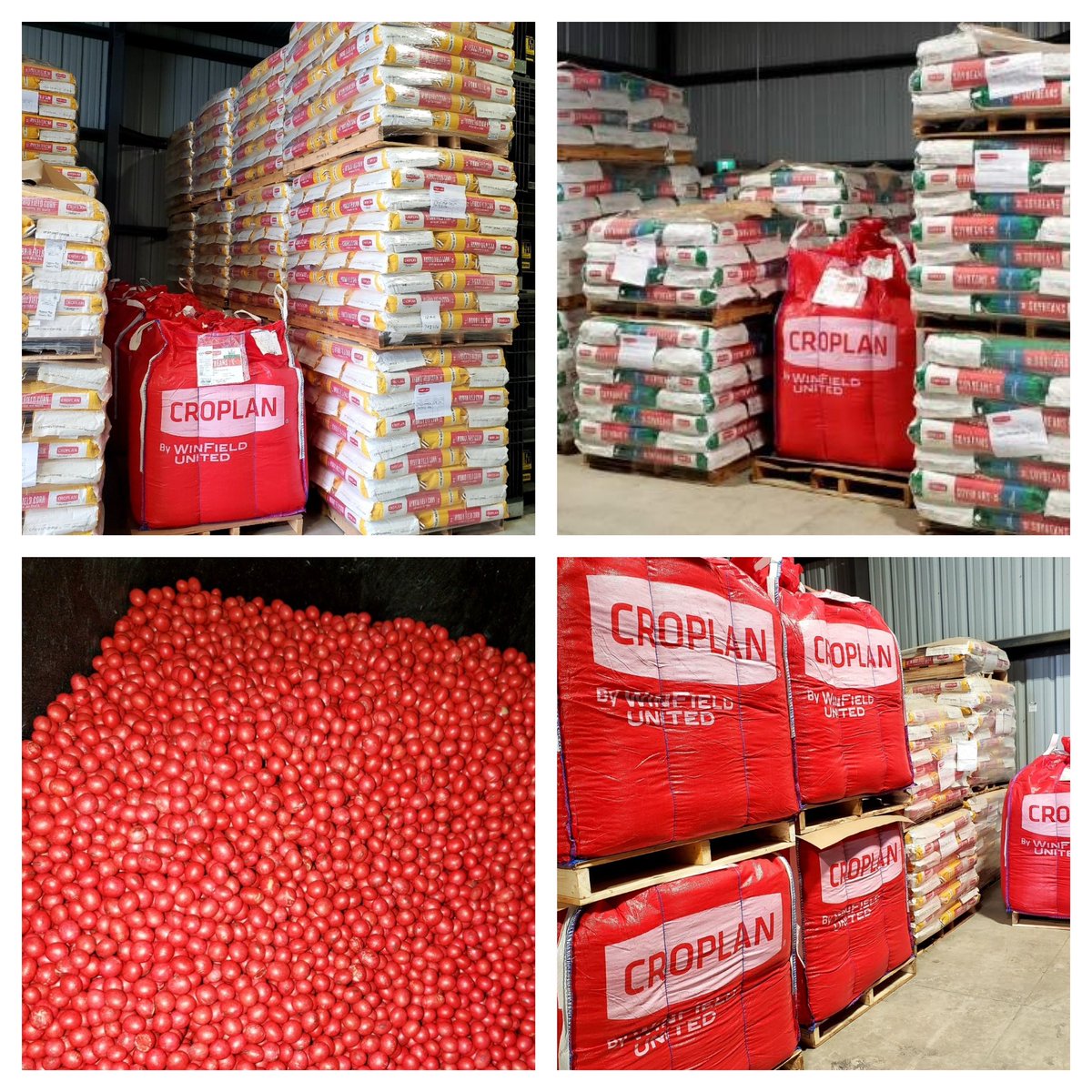 It’s might be a new year, however it’s the same great #CROPLAN products heading to farmers across Eastern Canada! #Soybeans and #Corn staged for shipment next week! #Plant24 #CROPLANFriday #WinFieldUnitedCanada