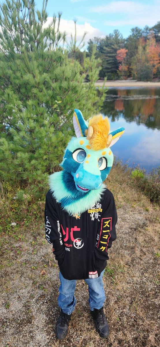 HeliosTheDragonite tweet media