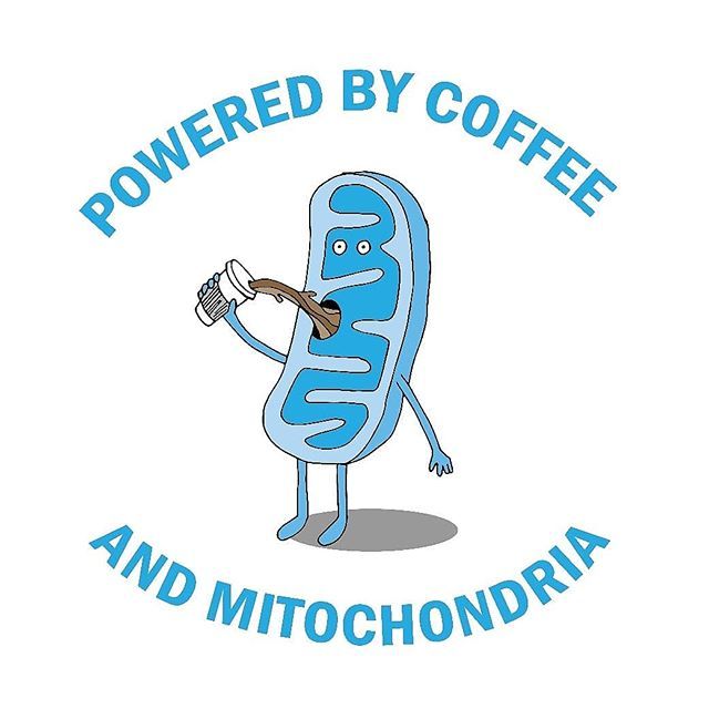 Powered by coffee, mitochondria and research! What all are you powered with?? ☕✨