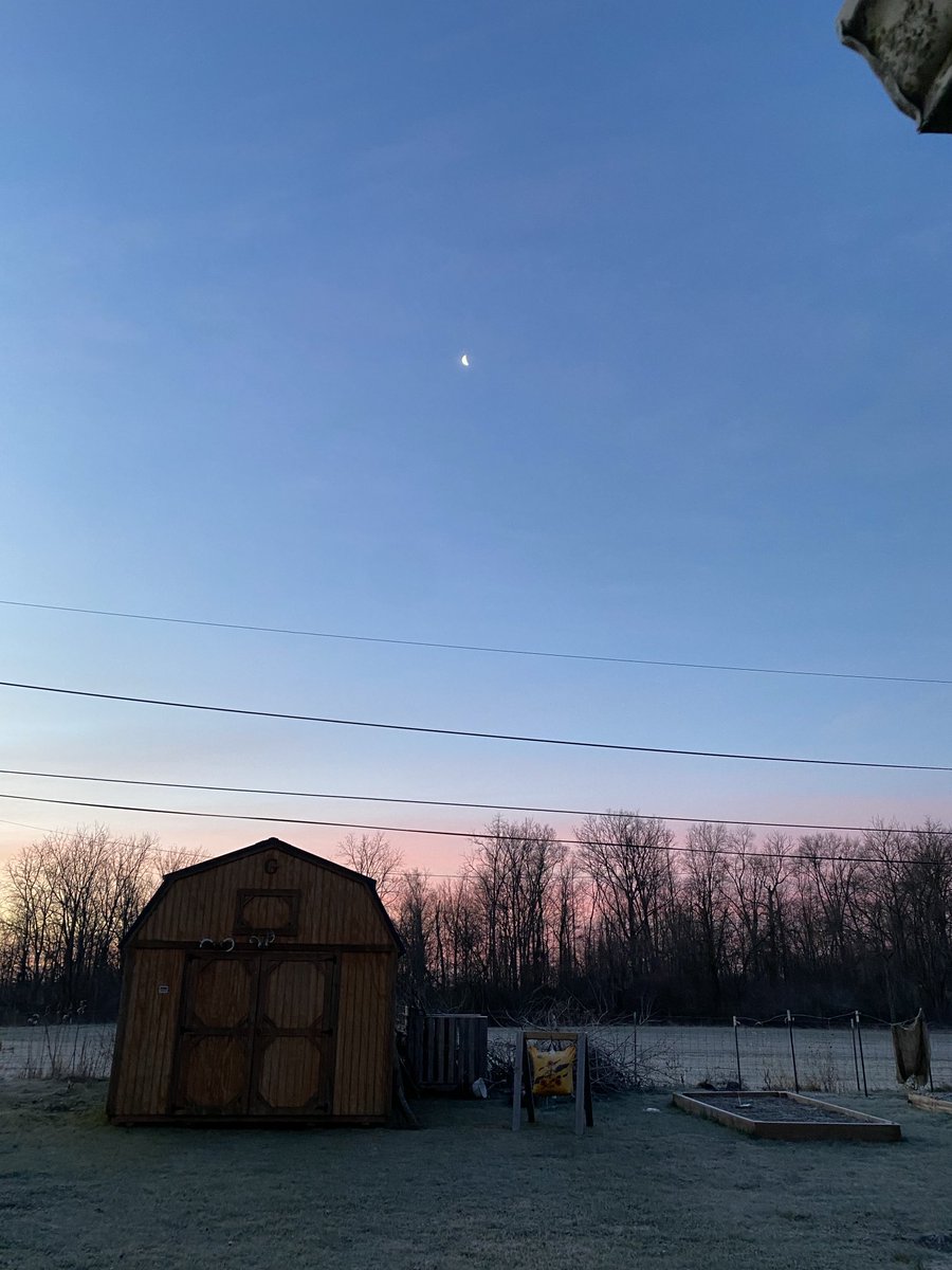 barbijp's tweet photo. What a beautiful morning! And a bit frosty too! https://t.co/LbZ1v4cxmx
