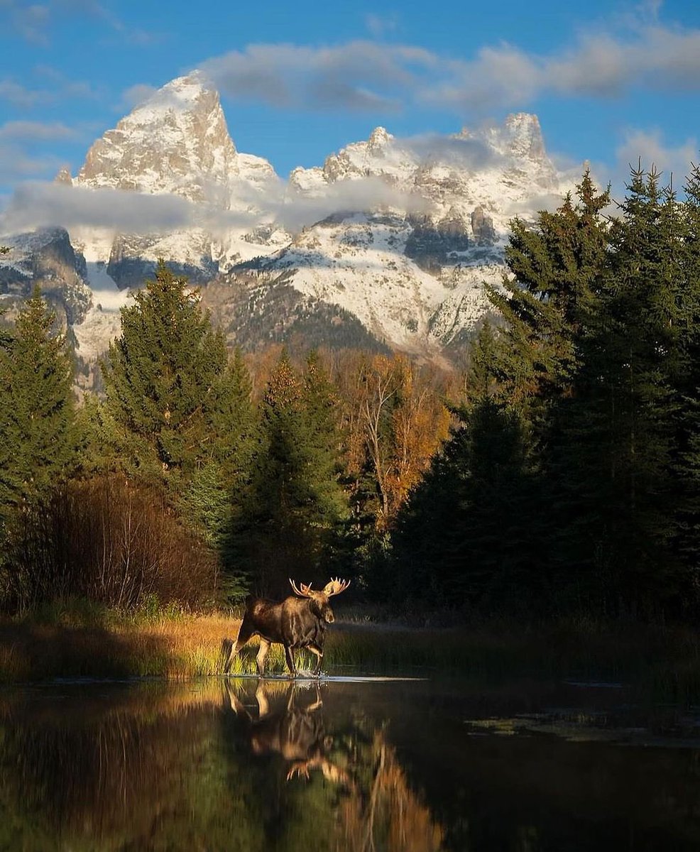 📍Jackson Hole, Wyoming: A picturesque valley embraced by majestic mountains, renowned for outdoor adventures and nestled near iconic national parks 🏞️ 🏔️

#USA #JacksonHole #Wyoming #Nature #FridayVibes