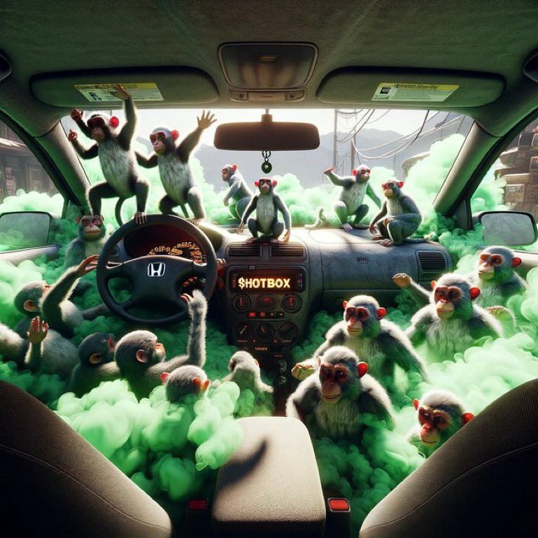 THE TICKER IS $HOTBOX