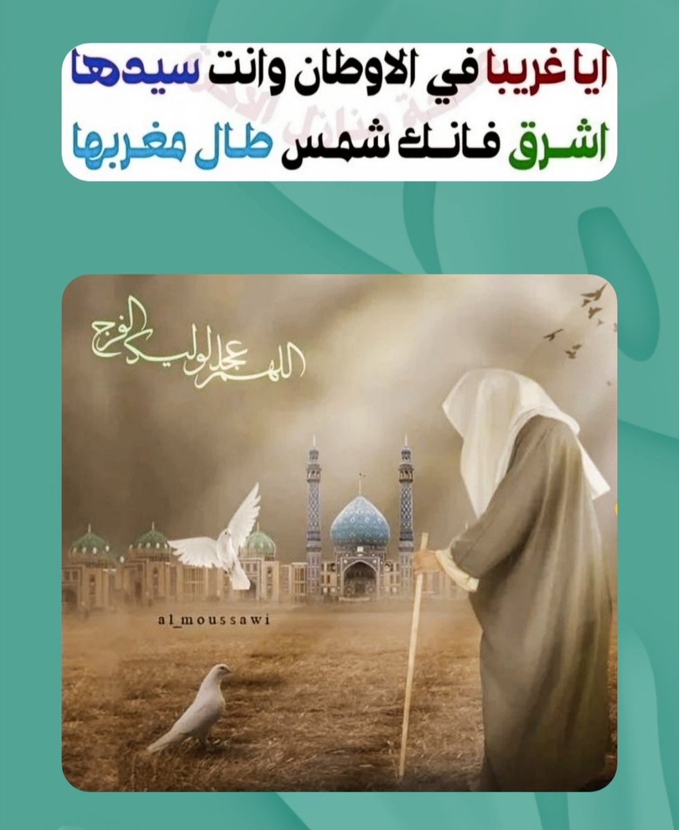 @mhkaltaiy tweet media