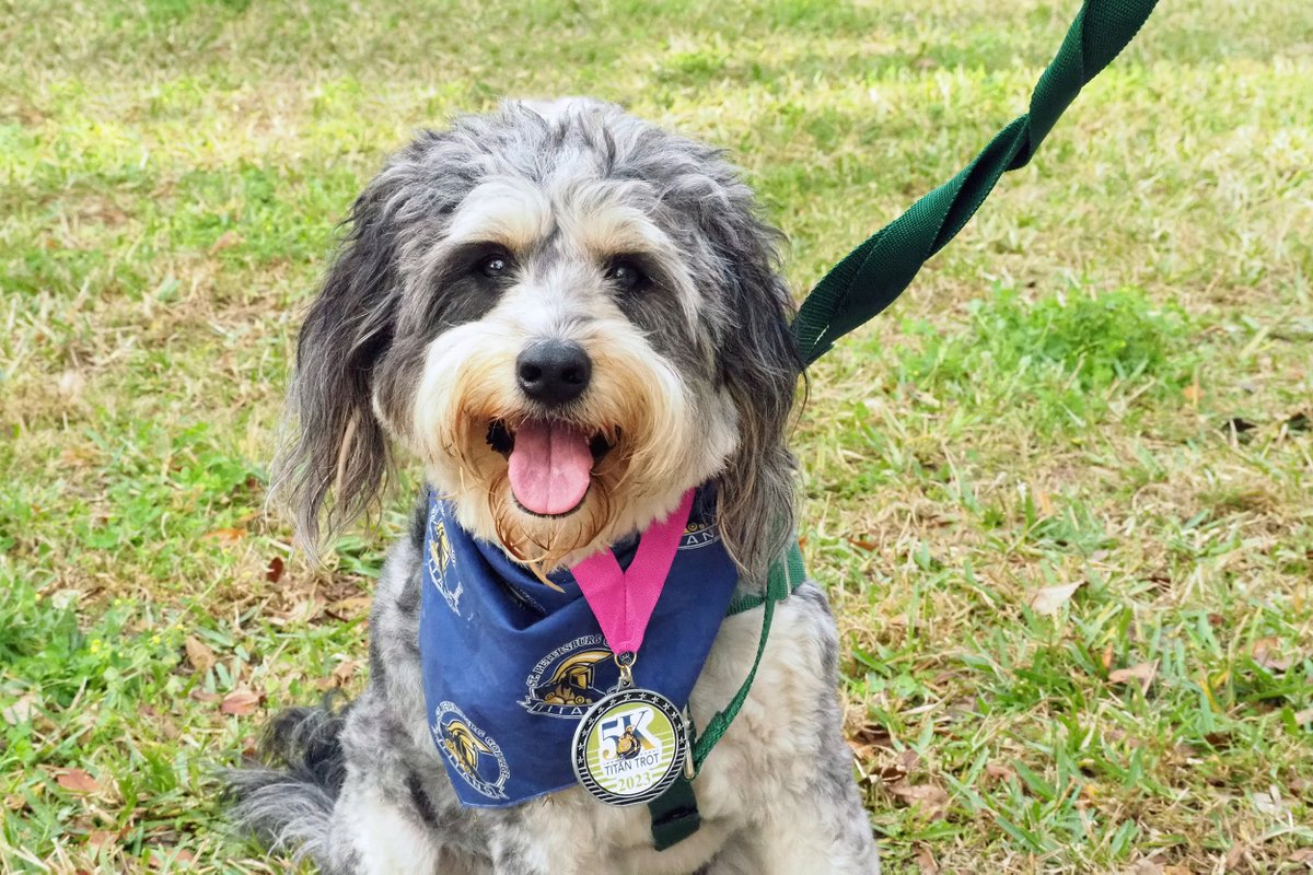 spcnews's tweet photo. Whether you run, jog, walk, roll, or cartwheel across the finish line, you're invited to participate in the 2024 Titan Trot 5K!
The race will take place on Saturday, February 10, at the #SPCClearwater Campus and is open to the public. Sign up today at https://t.co/JhR8nQAUtj. π https://t.co/Wxe3mRFvcd