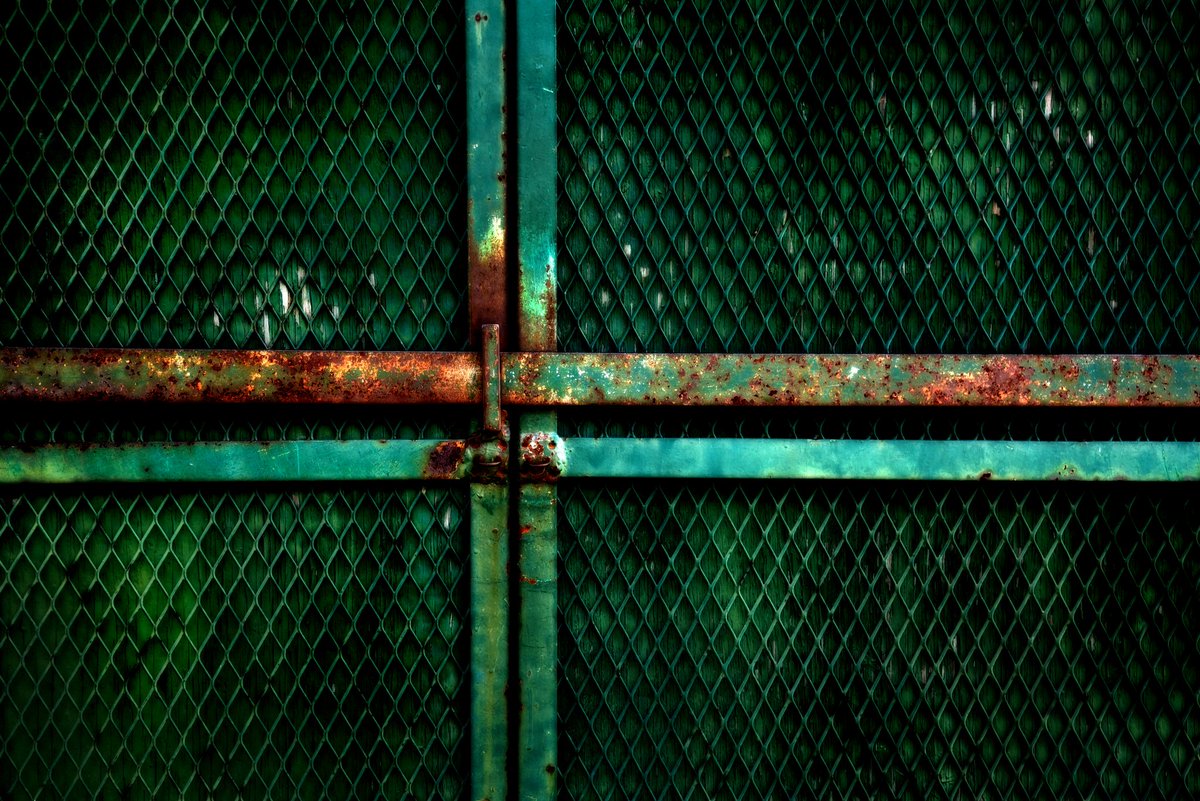 "Cage"

37th Art in the Workplace Exhibit 
Nov. 30th - Feb. 29
McMaster Innovation Park 
<a href="/MIP_Hamilton/">McMaster Innovation Park</a>
#Photography #artphotography