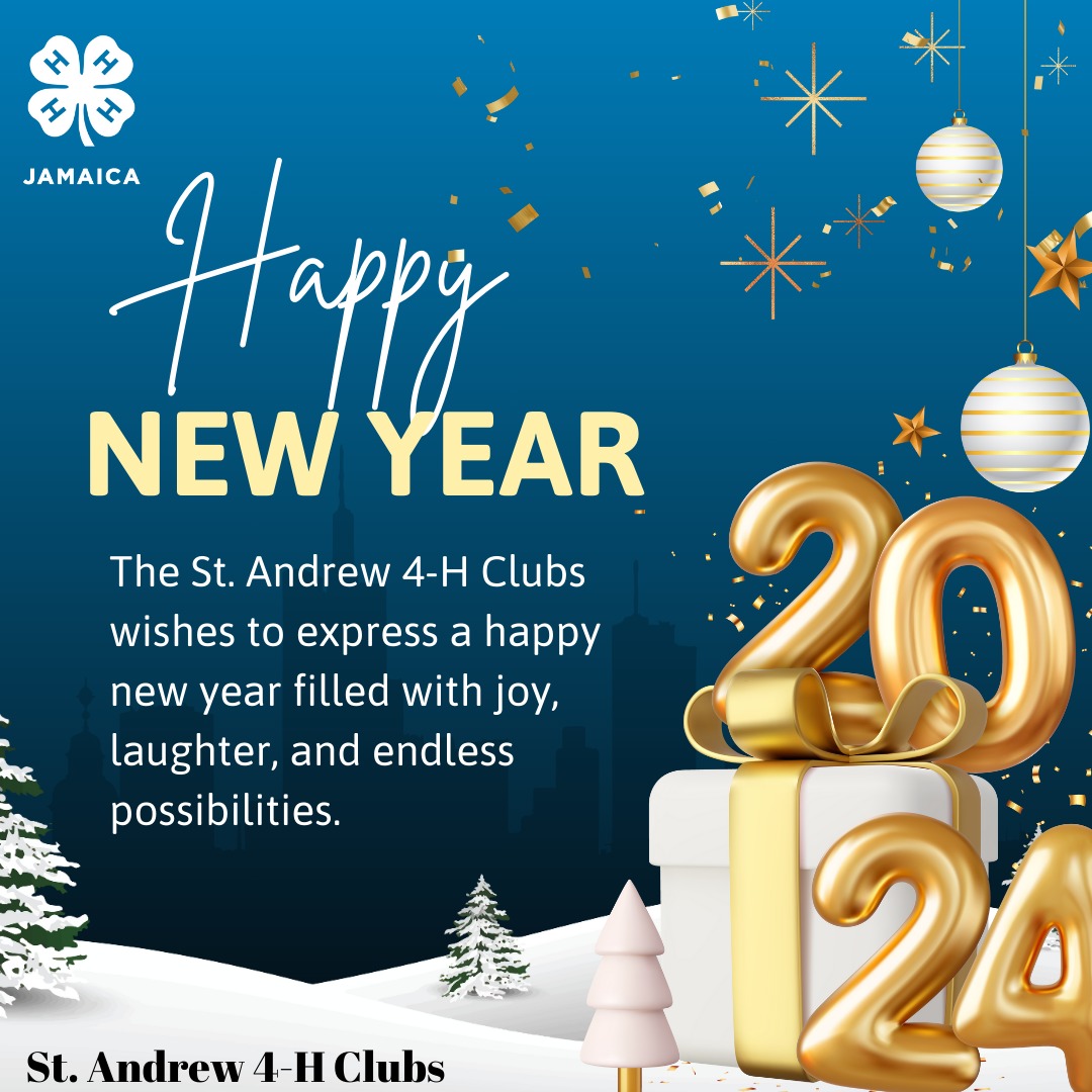 standrew4h's tweet photo. Happy New Year to all and best wishes for 2024 https://t.co/li8mml31VQ