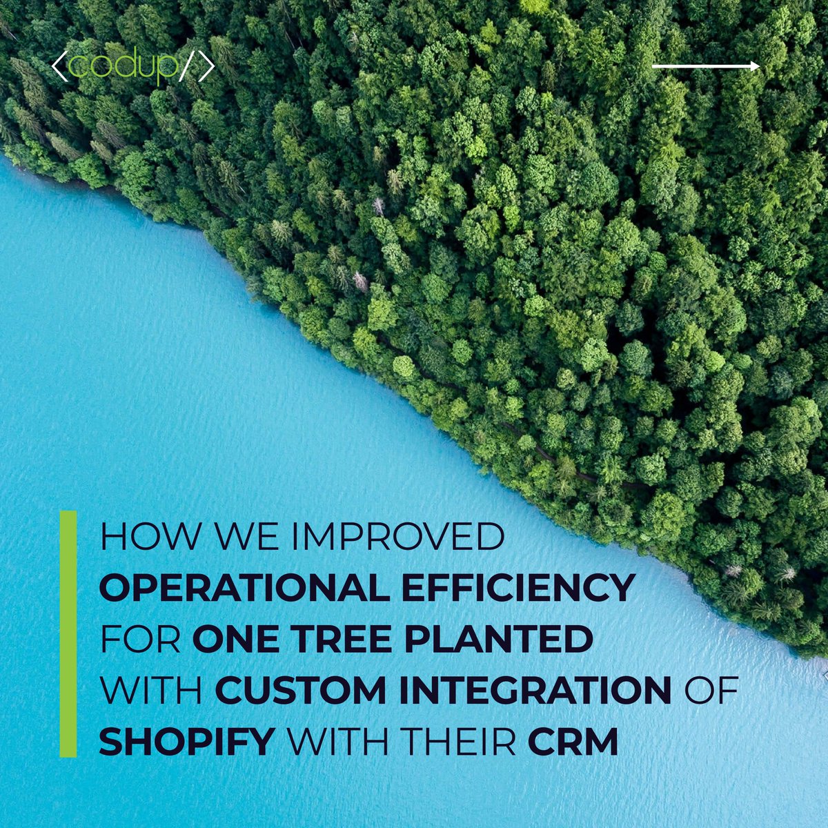 Data silos can lead to operational inefficiencies.

<a href="/onetreeplanted/">One Tree Planted</a> chose Codup to build a custom integration to sync the different data sources.

Read the case study: codup.co/portfolio/one-…

#CaseStudy #Codup