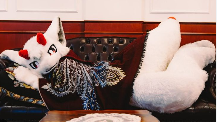WilliamPearce90's tweet photo. SHES HOME!! I love her so much she’s perfect 📷📷Just in time for #FursuitFriday https://t.co/cjUnHwJLTc