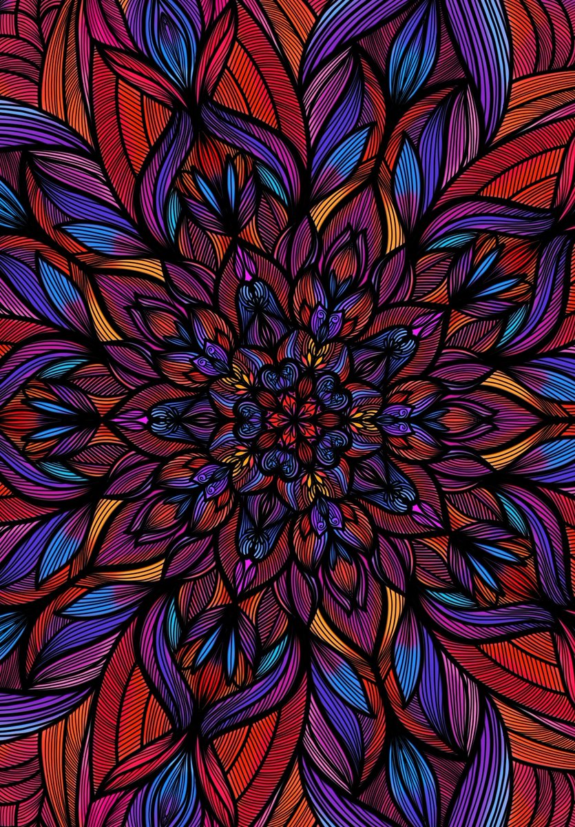 Pooja💙💛 tweet media