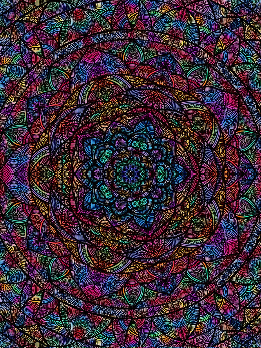 Pooja💙💛 tweet media