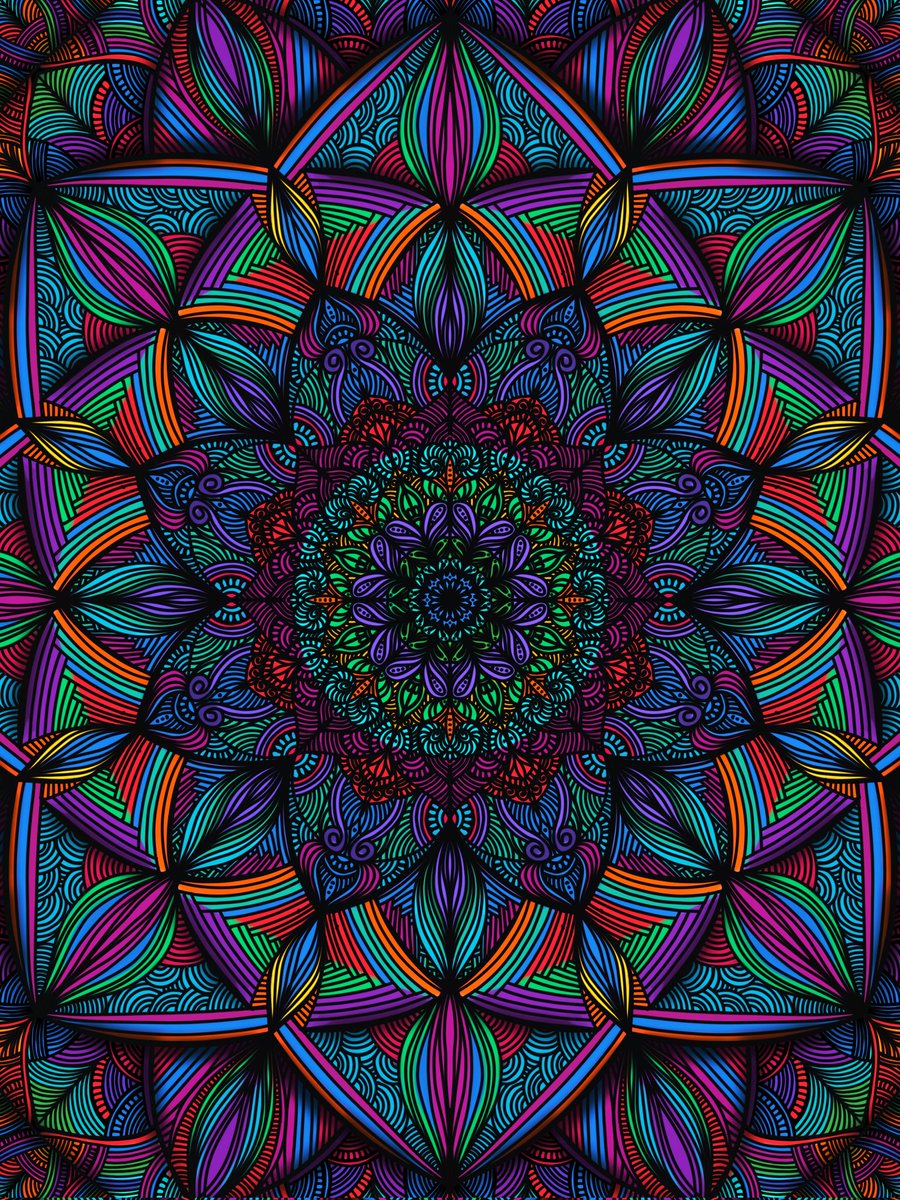 Pooja💙💛 tweet media