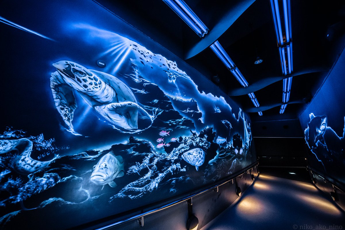 ako03201's tweet image. 「水族館が好き=魚が好き、詳しい」
とは限らないのだよ。
私は水族館という空間が好きなのです。
何が好きかは人それぞれ。楽しみ方も人それぞれ。
