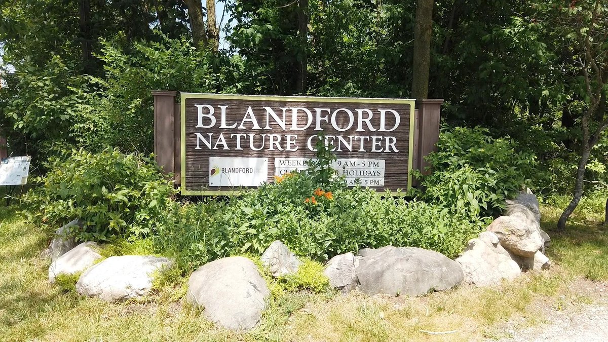 Blandford Nature Center is hiring for their 2024 Summer Camp! Experience in education is not required. These seasonal positions are great for anyone who loves working with children &amp; the outdoors! Check out the link in our bio to learn about the different positions!