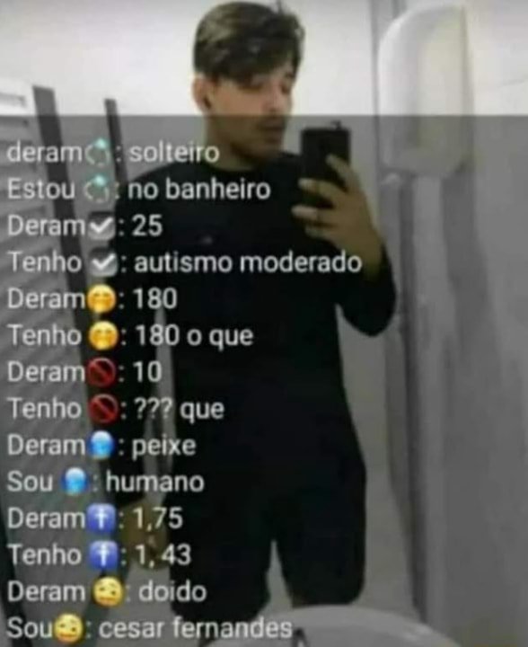 meme burros (ou nada inteligente) (@burraookk) on Twitter photo 