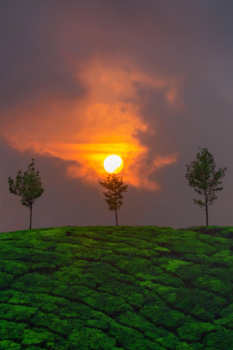 addhu.eth💙💛 | NATURE BEYOND SOLITUDE 1/5 left | tweet media