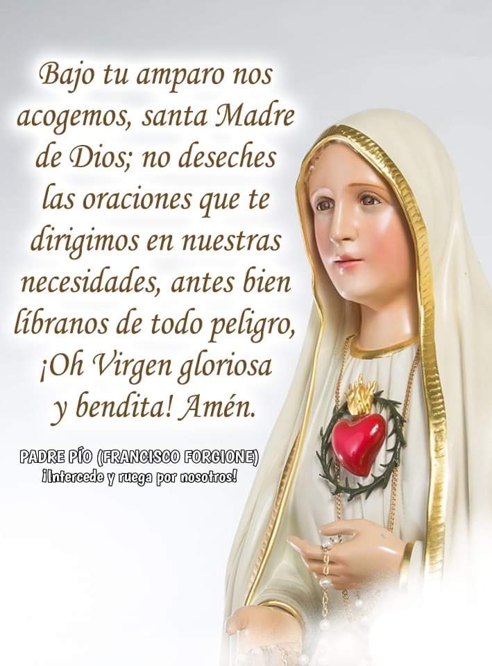 JuntosRecemos's tweet photo. https://t.co/vBXMwoPzqQ