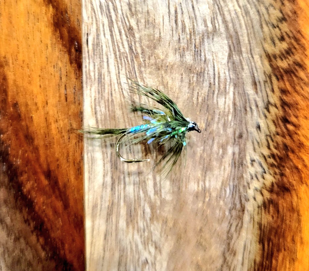 New year, same nerd! Nearly impossible to get a fly fishing hook two dimensional enough for everything to be in focus, but here's part of a rainbow emerger under my microscope at 40x. Mega rad - those colors!