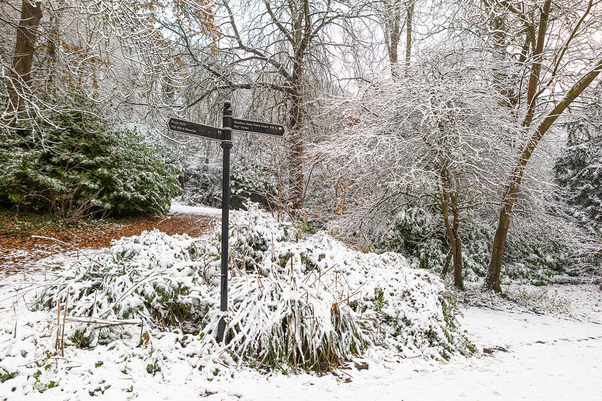 Jesmond Dene last month on a rare snowy occasion, #fingerpostfriday