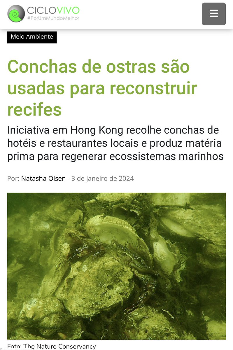 Incarbonbr's tweet photo. 🙌🏻🍃✨
@CicloVivo 
#incarbon #desenvolvimentosustentavel
#climatech #porummundomelhor
#sustentabilidade #projetossocioambientais https://t.co/NEnzkpr0jo