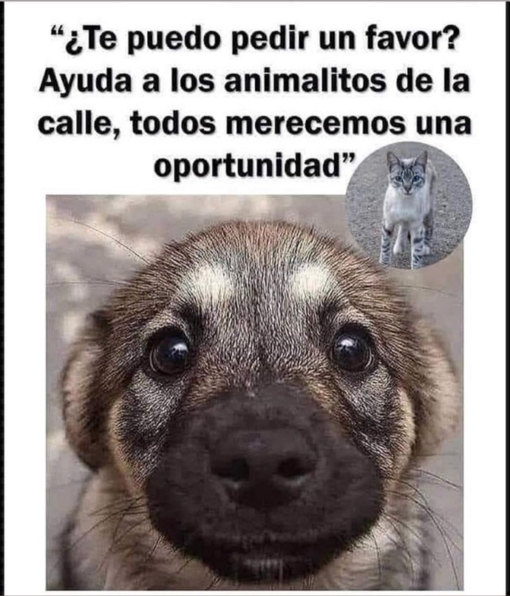 mayumiguillen's tweet photo. https://t.co/g3ivqpgrD9