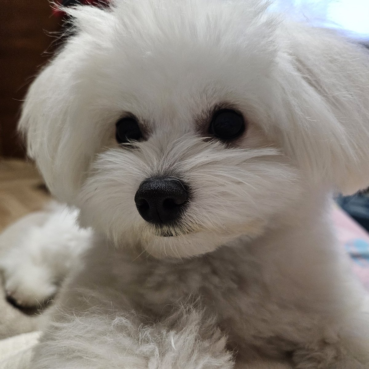 mociyui's tweet photo. #新しいプロフィール画像 https://t.co/zZ3QpaglHg