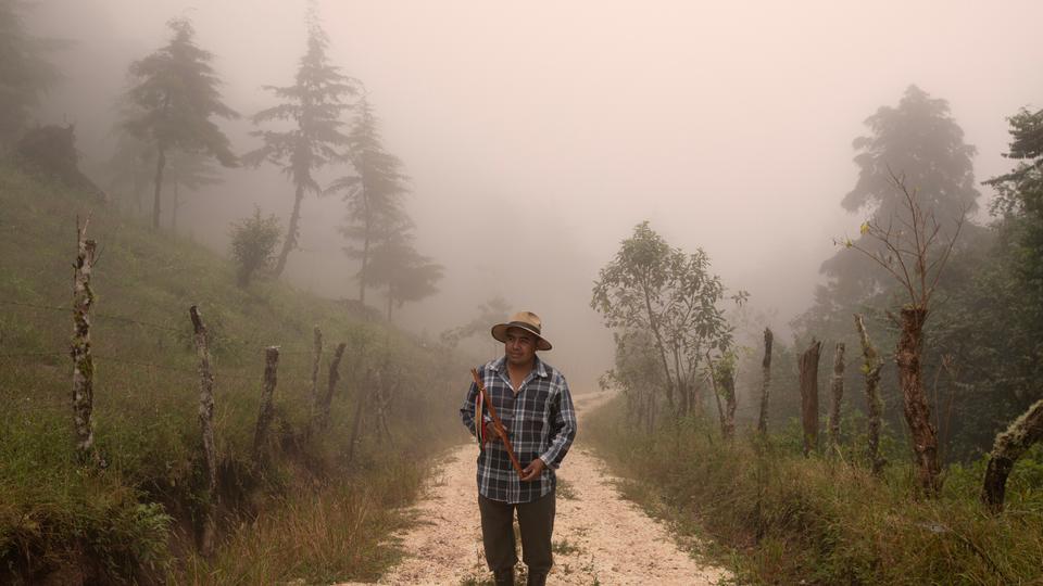 IWGIA's tweet photo. Så kan det vist ikke berettes finere. Få fornøjelsen af at høre om chor’ti’-folkets bæredygtige levevis i Guatemala. Lidt lærdom herfra bør gå direkte i klimakrisehåndteringshåndbogen. #dkklima
https://t.co/eAp8rNUHy0 https://t.co/AouUTTgg1M