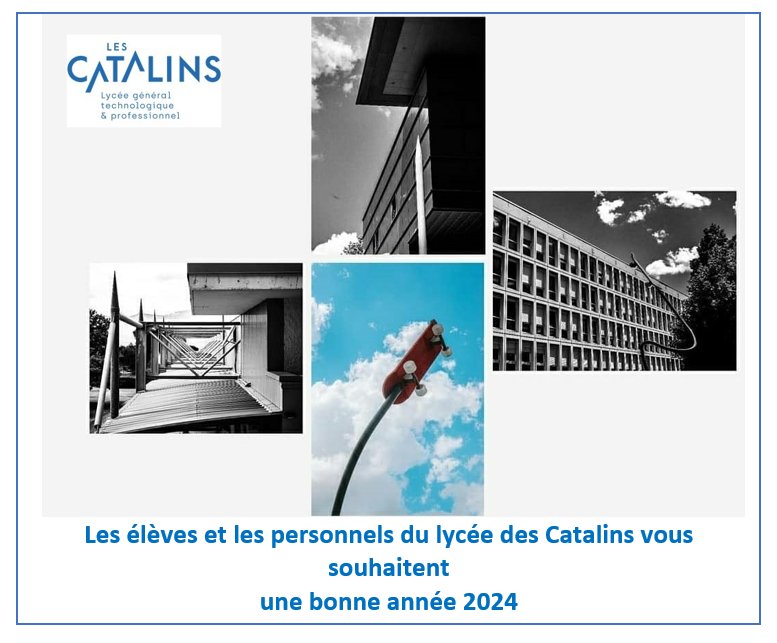 LCatalins's tweet photo. Le @LCatalins vous souhaite une excellente année 2024! https://t.co/xkG65cPjRx