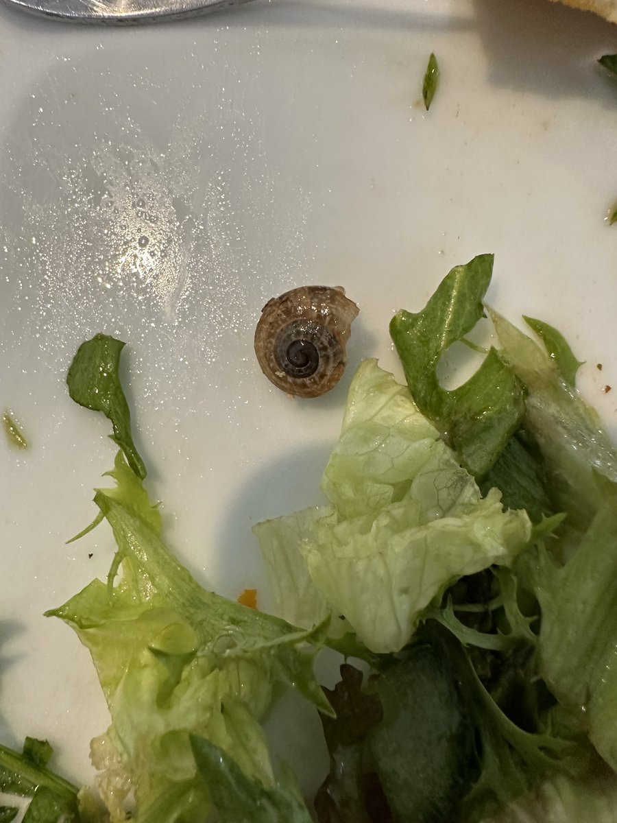 Consumer Bites tweet media