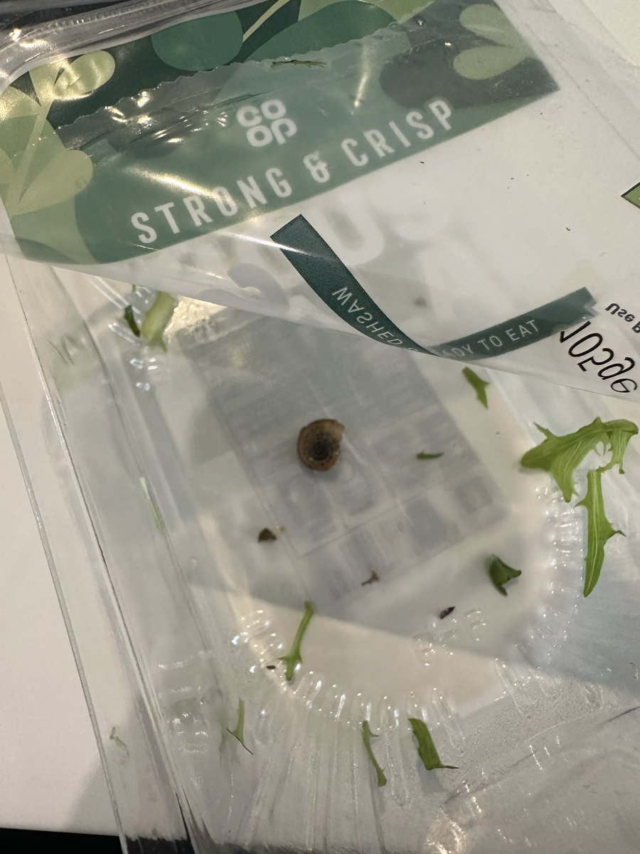 Consumer Bites tweet media