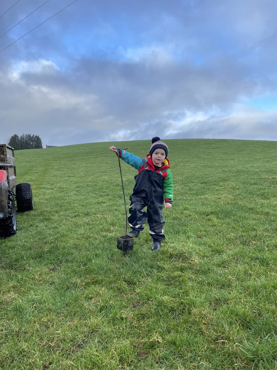 Stuart Graham tweet media