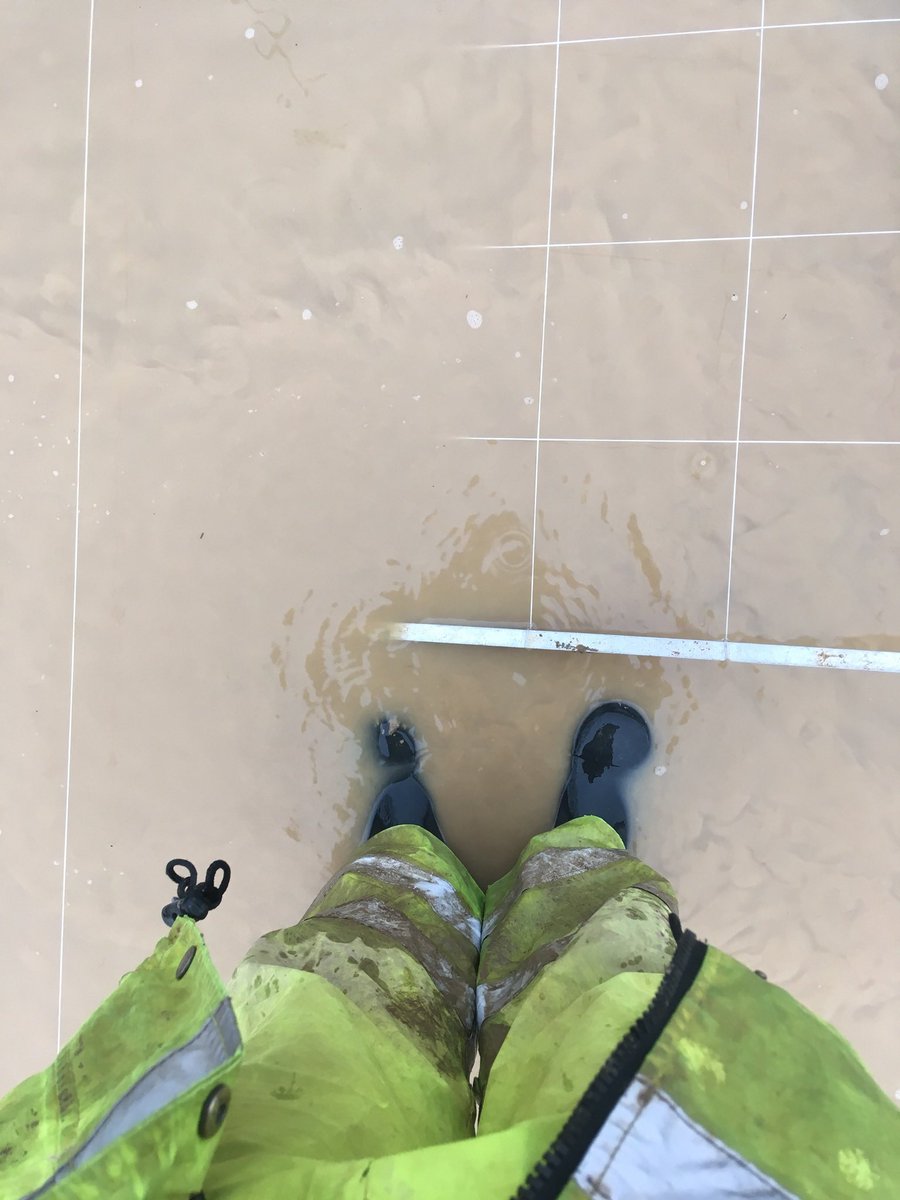 MuddyBaron's tweet photo. @Tess_Machling Mmm, April 2018. Character building? https://t.co/LyJENpA2Uq