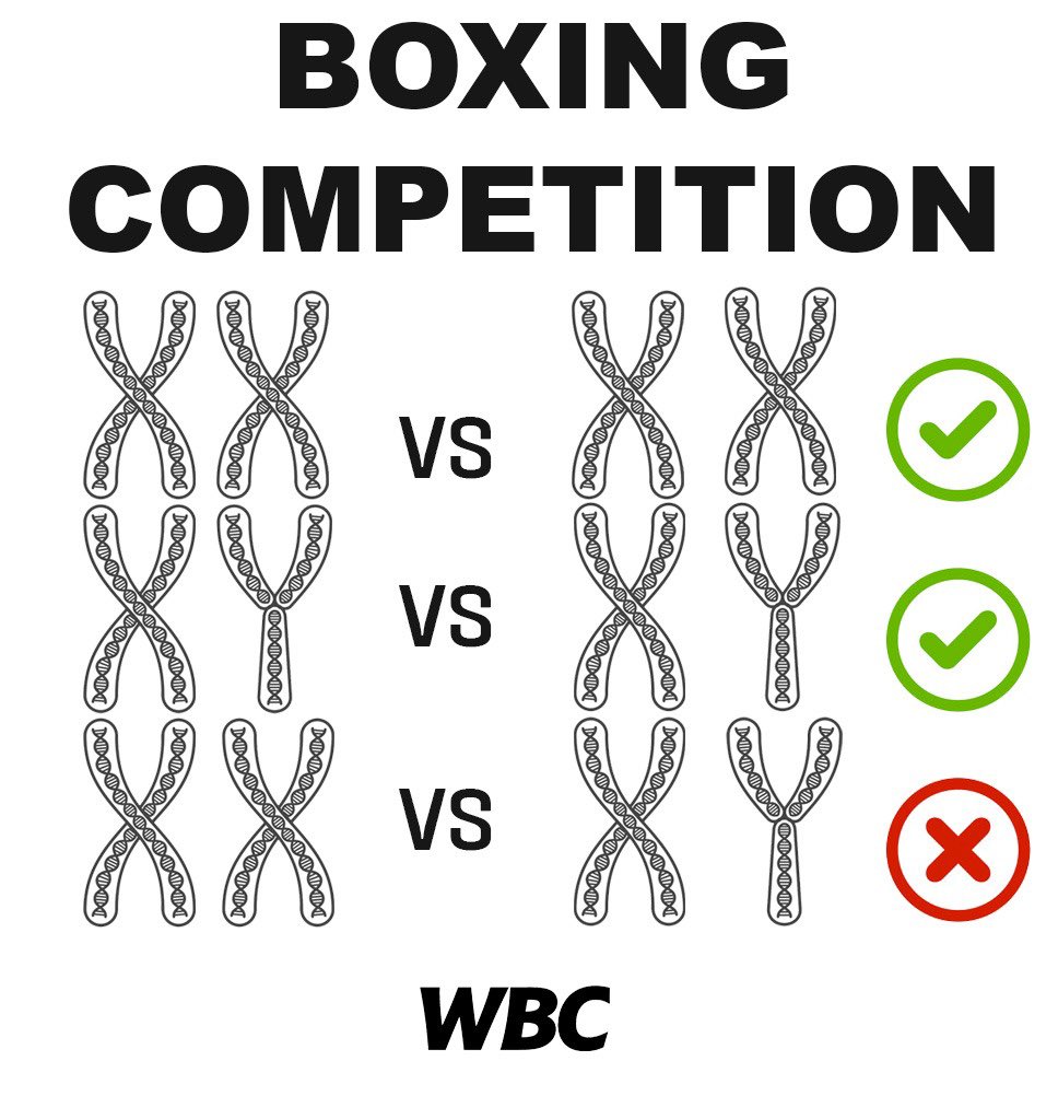 wbcmoro's tweet image. The WBC has been actively working on this very important topic and is our absolute policy that there must never be a fight between a born man against a born woman regardless of their current sexuality. It’s genetic XX vs XX yes
XY vs XY yes …. XX vs XY no 
Very simple NO