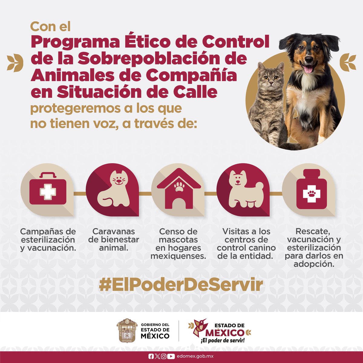 delfinagomeza's tweet photo. Por quienes no tienen voz, lanzamos el Programa Ético de Control de la Sobrepoblación de Animales de Compañía en Situación de Calle. 

Impulsamos acciones para que #SeamosLaVoz de ellos 🐾  que forman parte y conviven en nuestro entorno. 

#ElPoderDeServir es para proteger a nuestras mascotas.