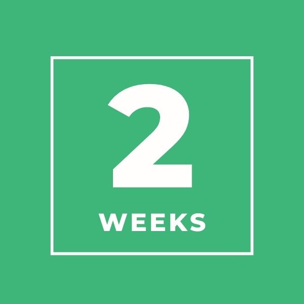 We are just 2 weeks away from our 6th Annual Educating the Whole Child Summit! 

Registration ends Friday, January 12th so do not wait! 

We can't wait to see you in Plainfield, Indiana on 1/19/24 for a day of sharing, learning, &amp; networking!

More Info: go.iu.edu/4gV1