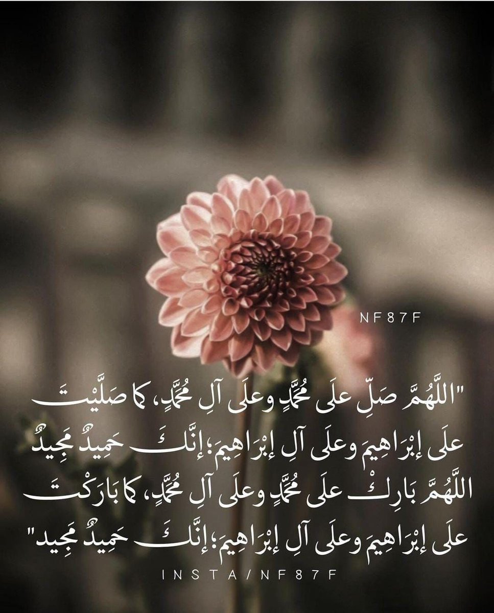 om_amal22's tweet photo. https://t.co/HyhLvZYbbm