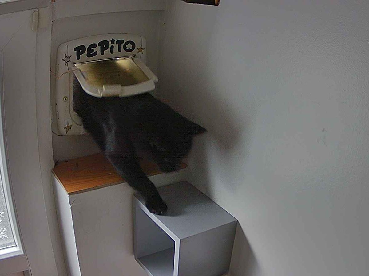 Pépito tweet media