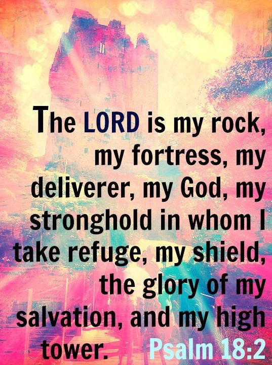 The LORD is my rock, and my fortress, and my deliverer; my God, my strength, in whom I will trust; my buckler, and the horn of my salvation, and my high tower. @apostledavid @yahusha_is_king @stxnom @pistol480 @dulleytopbooks @willpray_foryou @futrell_teddy