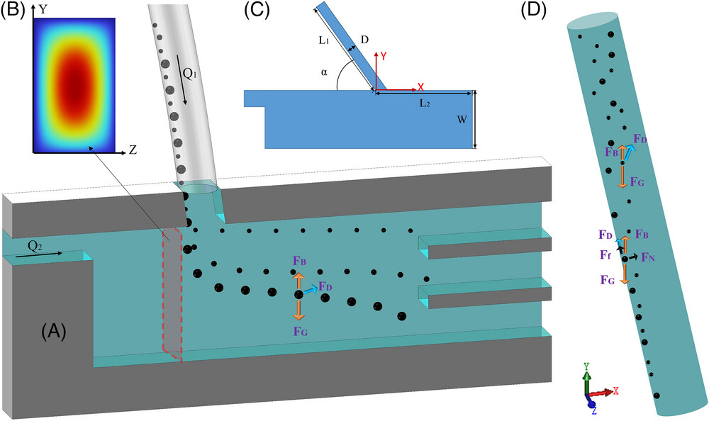... and the award for the Best Paper in Dec 2023 goes to Chong-Shan Gan, for the paper "Gravity-based focusing and size-dependent separation of metal microparticles in lubricating oil" Congratulations!  
doi.org/10.1002/elps.2…
