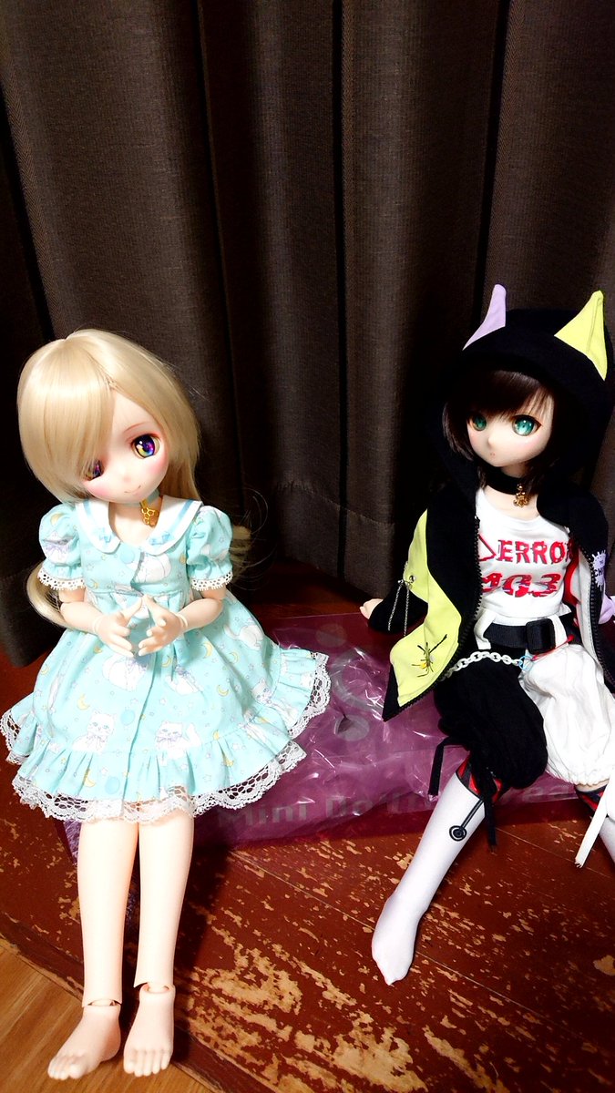 葵「この箱……」

あ……え……あ。。

葵「あと、半年くらい前から居る、この娘だれ？」

あ…、、あ。。

葵「この娘DBCボディだよね？」

は、はい。

葵「で、この箱……」

※終わらない圧

#うちの子かわいい