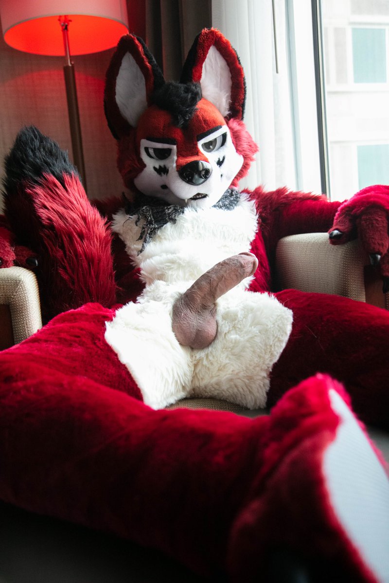 wolf_ezo's tweet photo. Pet me 

#fursuitfriday #fatcockfriday https://t.co/vfY3qL2NdV