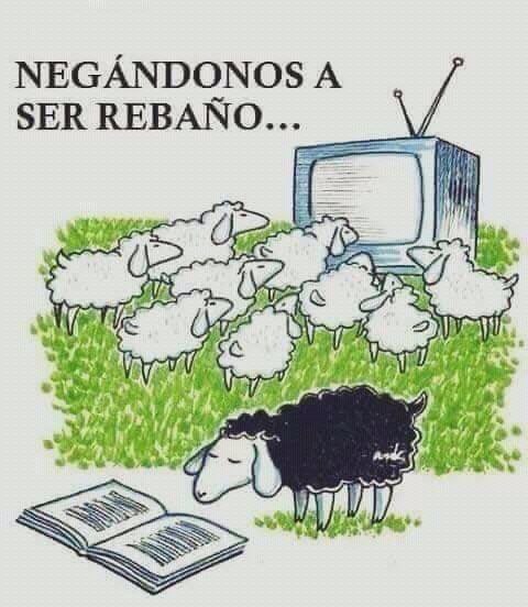 martamarco__'s tweet photo. 📺🐑 https://t.co/xcuVOWbB5I